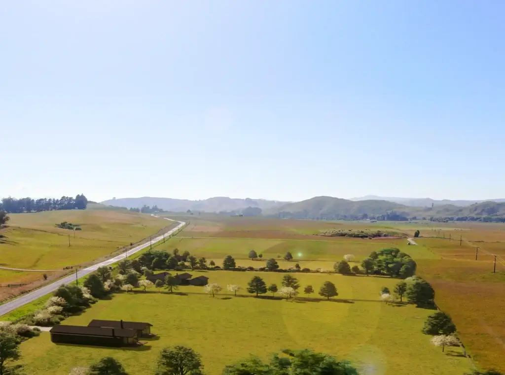 Tukuwaru-Junction-Central-Hawkes-Bay-Rural-Sections-rural-land